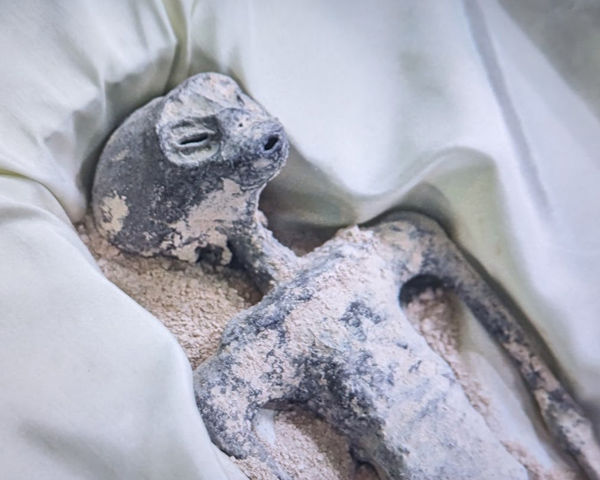 Alien corpse found in Peru